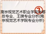 南京视觉艺术职业学院有哪些专业，王牌专业分析(南京视觉艺术学院专业分析)