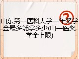 山东第一医科大学一年奖学金最多能拿多少(山一医奖学金上限)