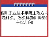铜川职业技术学院主攻方向是什么，怎么样(铜川职院主攻方向)