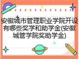 安徽城市管理职业学院开设有哪些奖学和助学金(安徽城管学院奖助学金)