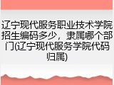 辽宁现代服务职业技术学院招生编码多少，隶属哪个部门(辽宁现代服务学院代码归属)