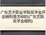 广东艺术职业学院奖学金评定细则是怎样的(广东艺院奖学金细则)