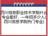 四川信息职业技术学院什么专业最好，一年招多少人(四川信息学院热门专业)