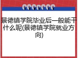 景德镇学院毕业后一般能干什么呢(景德镇学院就业方向)