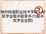 柳州铁道职业技术学院一年奖学金最多能拿多少(最多奖学金金额)