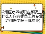 泸州医疗器械职业学院主攻什么方向有哪些王牌专业(泸州医学院王牌专业)