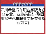 四川希望汽车职业学院有哪些专业，就业前景如何(四川希望汽车职业学院专业就业前景)