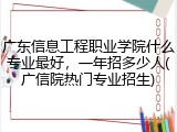 广东信息工程职业学院什么专业最好，一年招多少人(广信院热门专业招生)