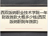 西双版纳职业技术学院一年财政拨款大概多少钱(西双版纳职院年拨款)