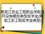 黑龙江农业工程职业学院共开设有哪些类型奖学金(黑龙江农工院奖学金类型)