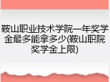 鞍山职业技术学院一年奖学金最多能拿多少(鞍山职院奖学金上限)