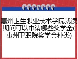 惠州卫生职业技术学院就读期间可以申请哪些奖学金(惠州卫职院奖学金种类)