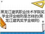 黑龙江建筑职业技术学院奖学金评定细则是怎样的(黑龙江建筑奖学金细则)