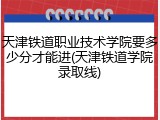 天津铁道职业技术学院要多少分才能进(天津铁道学院录取线)