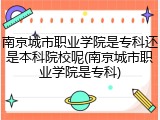 南京城市职业学院是专科还是本科院校呢(南京城市职业学院是专科)