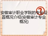安徽审计职业学院的专业设置概况介绍(安徽审计专业概况)