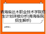 青海柴达木职业技术学院招生计划详细分析(青海柴院招生解析)