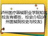 泸州医疗器械职业学院知名校友有哪些，校史介绍(泸州医械院校史与校友)