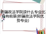 新疆政法学院读什么专业比较有前景(新疆政法学院优势专业)