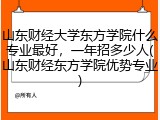 山东财经大学东方学院什么专业最好，一年招多少人(山东财经东方学院优势专业)