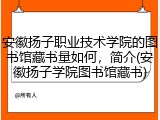 安徽扬子职业技术学院的图书馆藏书量如何，简介(安徽扬子学院图书馆藏书)