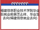 福建信息职业技术学院毕业后就业前景怎么样，毕业生去向(福建信息就业去向)