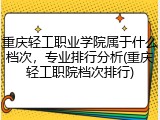 重庆轻工职业学院属于什么档次，专业排行分析(重庆轻工职院档次排行)