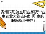 贵州民用航空职业学院毕业生就业大致去向如何(贵航职院就业去向)