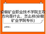 安徽矿业职业技术学院主攻方向是什么，怎么样(安徽矿业学院专长)