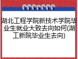 湖北工程学院新技术学院毕业生就业大致去向如何(湖工新院毕业生去向)