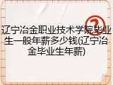 辽宁冶金职业技术学院毕业生一般年薪多少钱(辽宁冶金毕业生年薪)