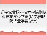 辽宁农业职业技术学院到毕业要花多少学费(辽宁农职院毕业学费总计)