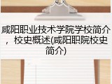 咸阳职业技术学院学校简介，校史概述(咸阳职院校史简介)