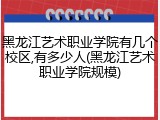 黑龙江艺术职业学院有几个校区,有多少人(黑龙江艺术职业学院规模)