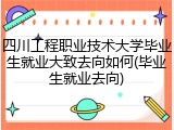 四川工程职业技术大学毕业生就业大致去向如何(毕业生就业去向)