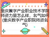 重庆数字产业职业技术学院师资力量怎么样，名气如何(重庆数字产业职院师资名气)