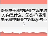 贵州电子科技职业学院主攻方向是什么，怎么样(贵州电子科技职业学院优势专业)
