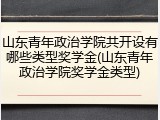 山东青年政治学院共开设有哪些类型奖学金(山东青年政治学院奖学金类型)