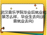 武汉音乐学院毕业后就业前景怎么样，毕业生去向(武音就业去向)