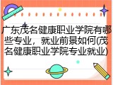 广东茂名健康职业学院有哪些专业，就业前景如何(茂名健康职业学院专业就业)