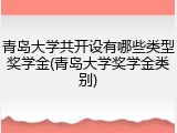 青岛大学共开设有哪些类型奖学金(青岛大学奖学金类别)