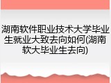 湖南软件职业技术大学毕业生就业大致去向如何(湖南软大毕业生去向)