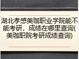 湖北孝感美珈职业学院能不能考研，成绩在哪里查询(美珈职院考研成绩查询)