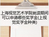 上海视觉艺术学院就读期间可以申请哪些奖学金(上视觉奖学金种类)