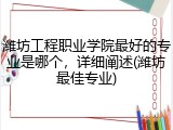 潍坊工程职业学院最好的专业是哪个，详细阐述(潍坊最佳专业)