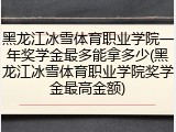 黑龙江冰雪体育职业学院一年奖学金最多能拿多少(黑龙江冰雪体育职业学院奖学金最高金额)