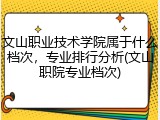 文山职业技术学院属于什么档次，专业排行分析(文山职院专业档次)