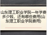 山东理工职业学院一年学费多少钱，还有哪些费用(山东理工职业学院费用)