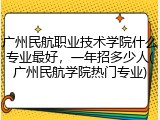 广州民航职业技术学院什么专业最好，一年招多少人(广州民航学院热门专业)