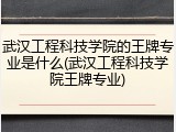 武汉工程科技学院的王牌专业是什么(武汉工程科技学院王牌专业)